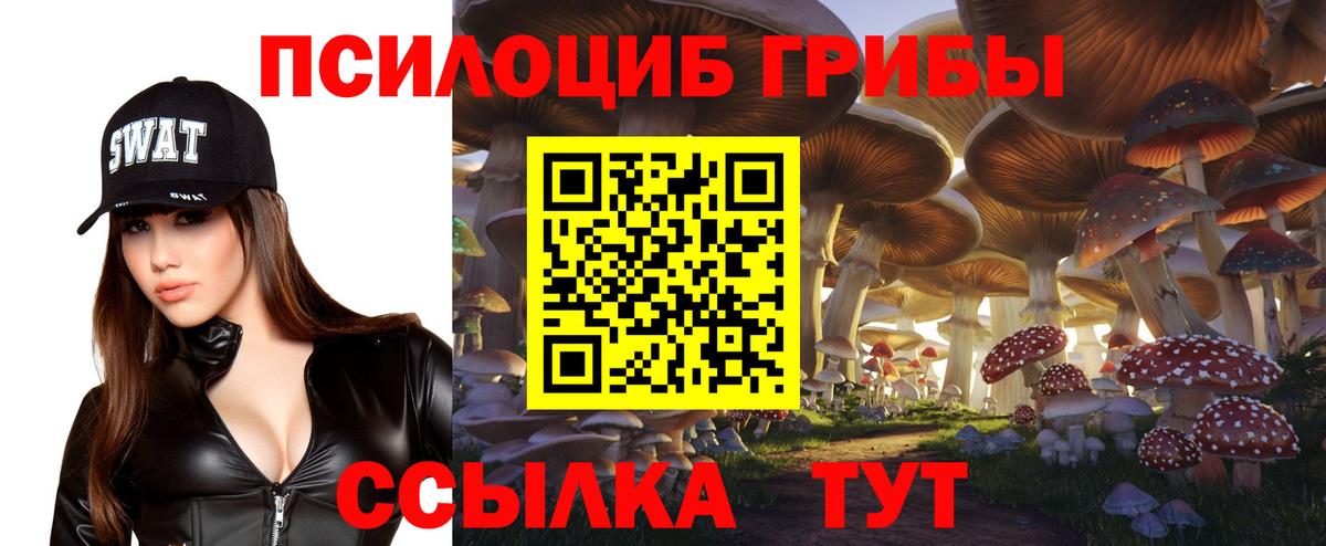 Псилоцибиновые грибы мухоморы Лабытнанги